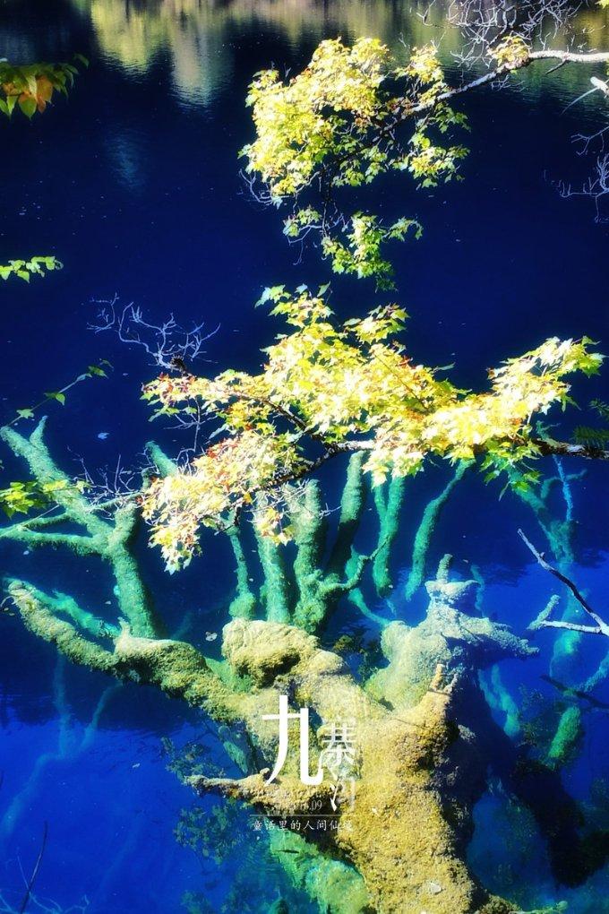小型定量包装线 200L强碱包装线